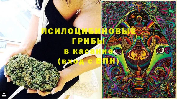 гашик Магас