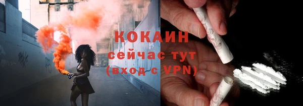 индика Лиски