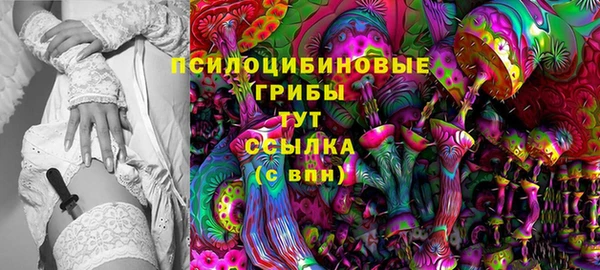 гашик Магас