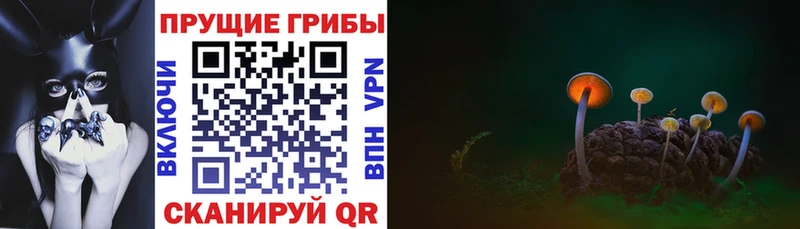 Галлюциногенные грибы MAGIC MUSHROOMS  Спасск-Дальний 